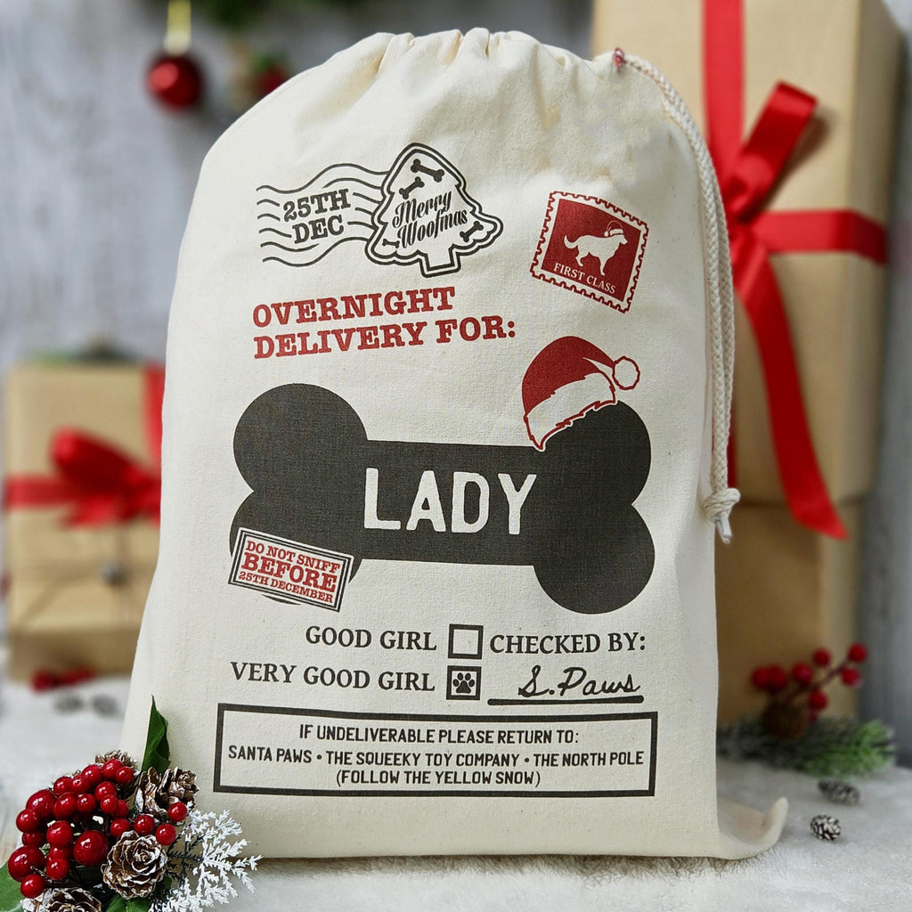 Personalized Christmas Stocking For Dogs, Custom Santa Sack For Pets, Merry Woofmas Gifts, Presents For Puppy, Dog Lover Bag, Santa Paws