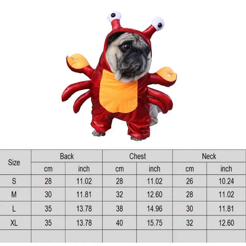 Halloween Costumes For Pets, Pumpkin Halloween Dog Costume, Funny Dog Costume, Halloween Dog Costume, Funny Costume, Party Costume for Pet Cat