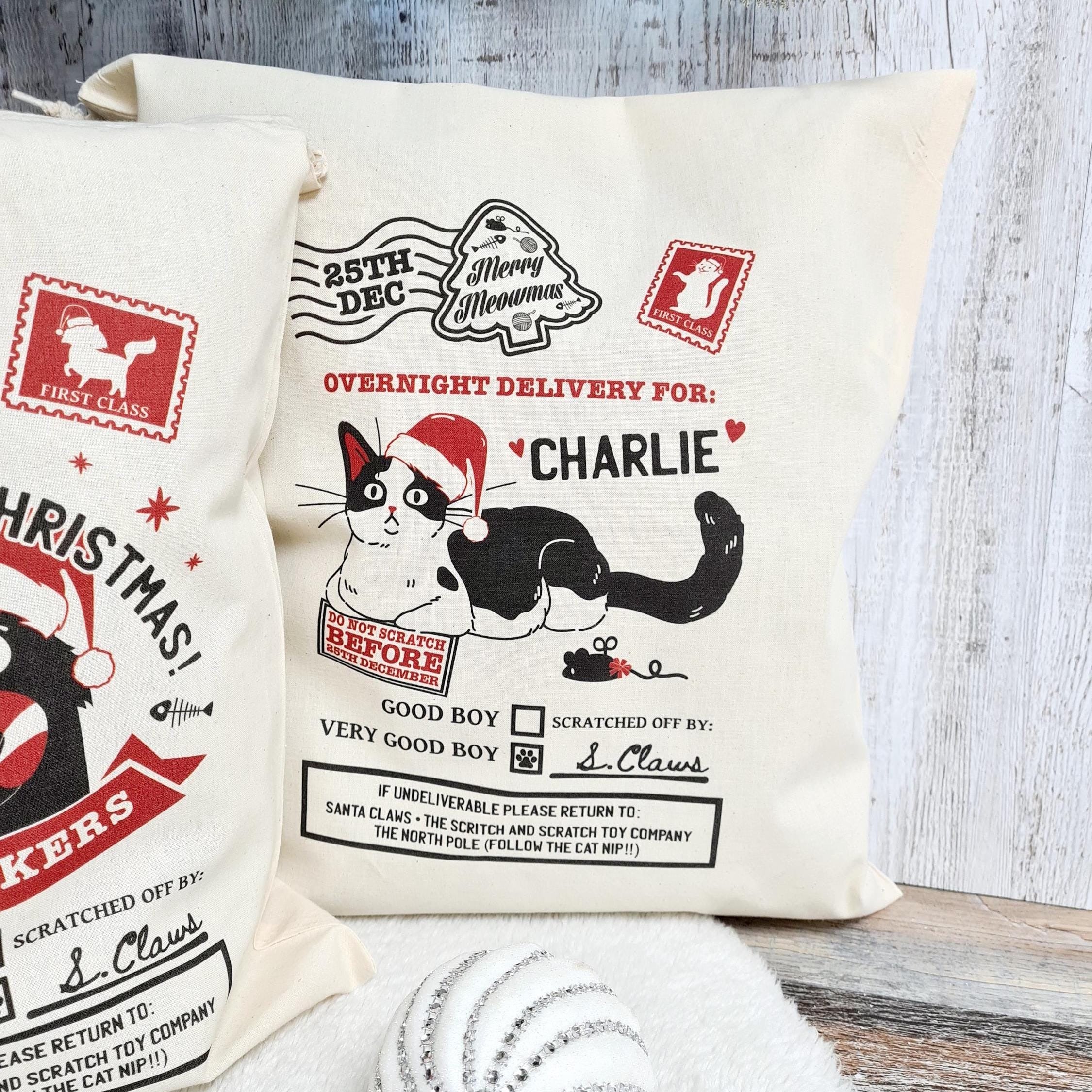 Personalized Christmas Stocking For Cats, Custom Santa Sack For Pets, Cat lover Gifts, Christmas Treats & Toys For Pets, New Kitten Presents