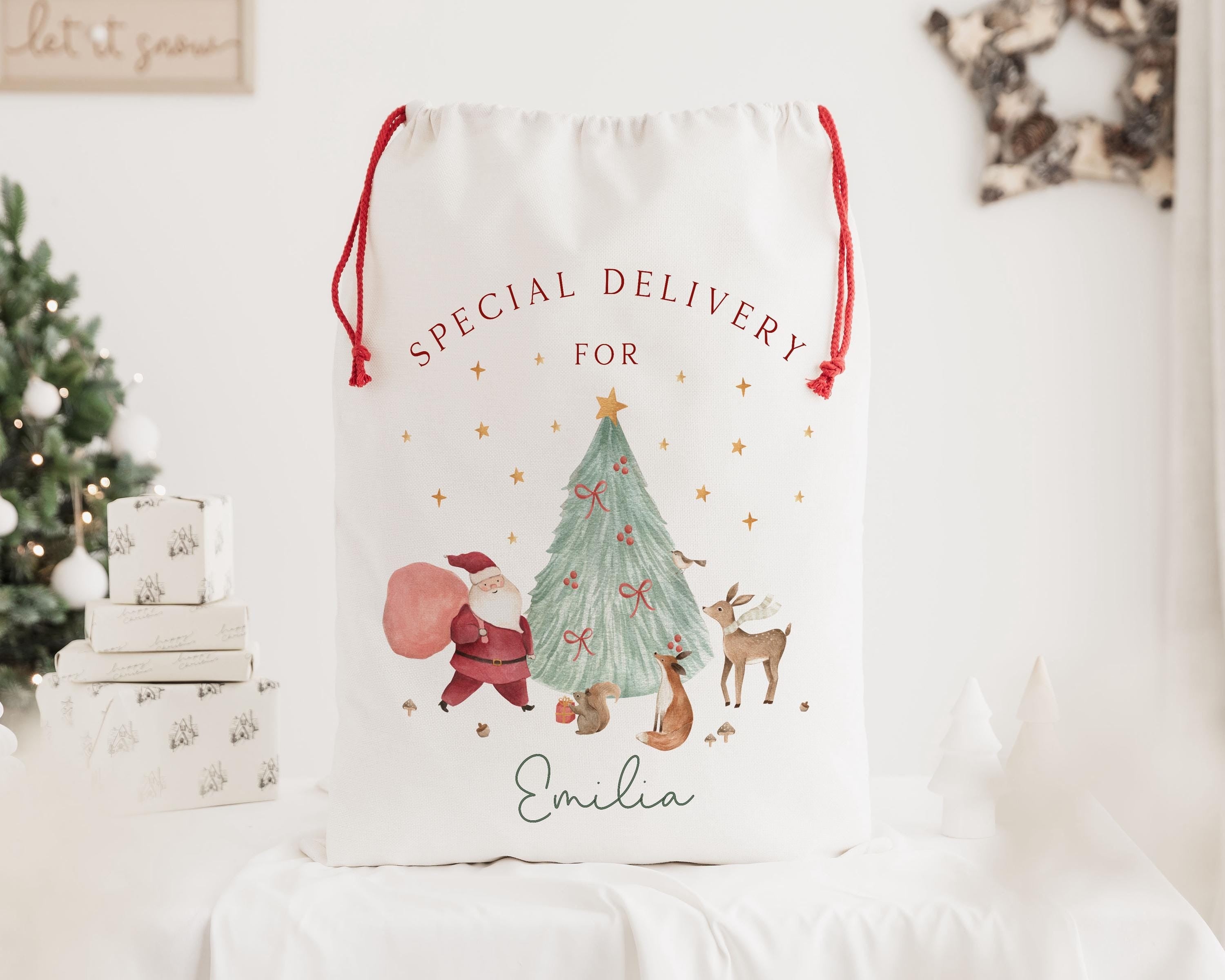 Personalised Santa Sack, Christmas Present Sack, Baby's First Christmas Gift, Special Delivery Christmas Eve Box, Father Christmas Bag