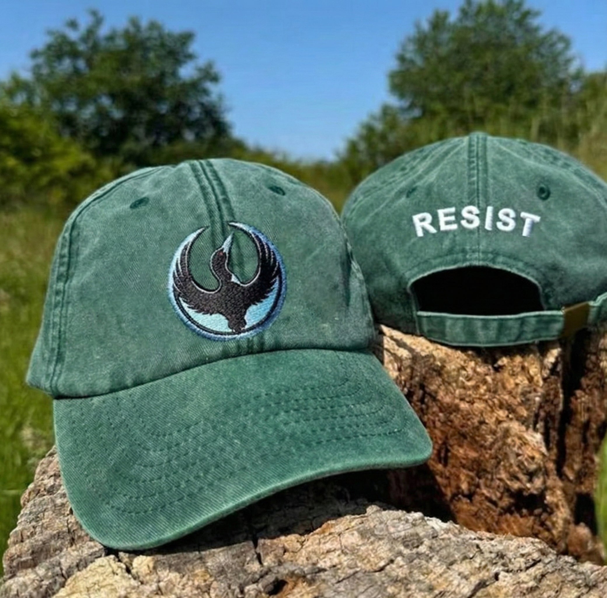 Rebel Alliance Loon Embroidered Baseball Cap – Minnesota Rebel Activist Hat