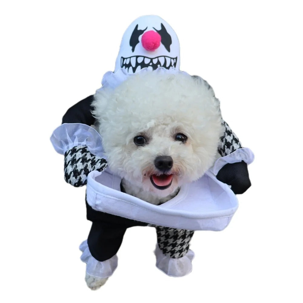 Halloween Costumes For Pets, Pumpkin Halloween Dog Costume, Funny Dog Costume, Halloween Dog Costume, Funny Costume, Party Costume for Pet Cat