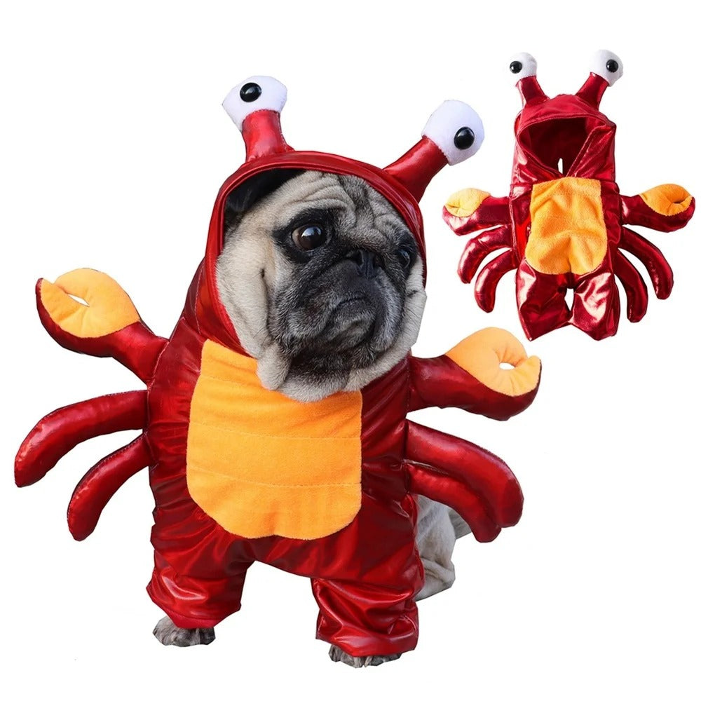 Halloween Costumes For Pets, Pumpkin Halloween Dog Costume, Funny Dog Costume, Halloween Dog Costume, Funny Costume, Party Costume for Pet Cat