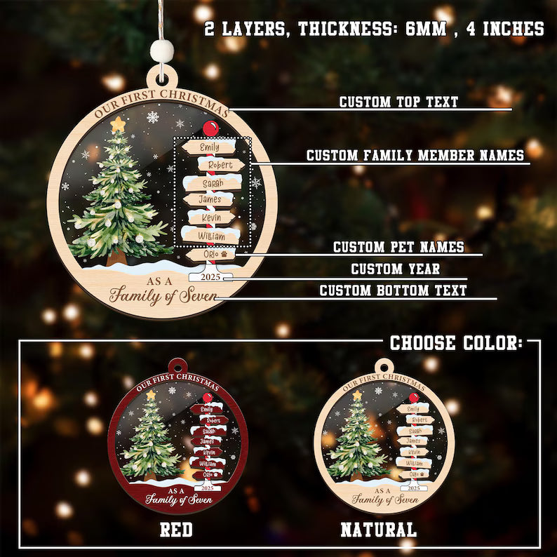 Family Name Christmas Tree Ornaments, Personalized Family Name Ornament, Christmas Tree Ornament Family Names 2025, Holiday Keepsake